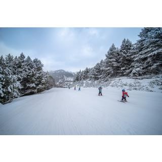 4 dias Forfait + 4 días Alquiler Material - Paquete Predefinido en ANDORRA LA VELLA