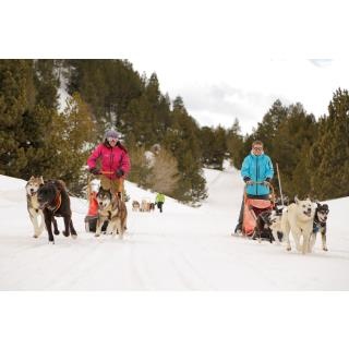 Mushing + Pedestrian ski pass - Predefined package in ANDORRA LA VELLA