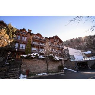 Anyós Park Aparthotel - Alojamiento en LA MASSANA