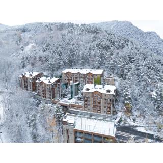 AnyósPark The Mountain & Wellness Resort - Allotjament en LA MASSANA