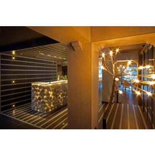 Hotel & SPA Xalet Bringué - Alojamiento en ORDINO