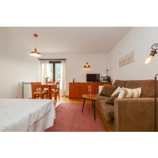 Apartamentos Tarter/Ransol 3000 - Hébergement en EL TARTER