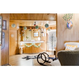 Apartaments La Neu-Mountain Lodges & Restaurant - Allotjament en ORDINO