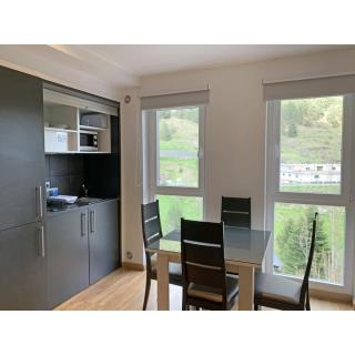 Apartamentos Vallnord 3000 - Accommodation in ARINSAL