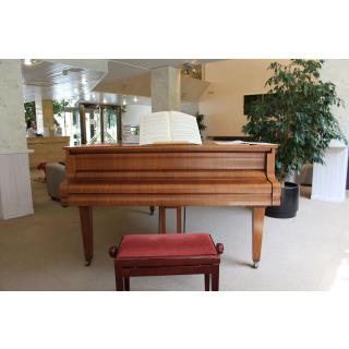 Hotel Sant Gothard by Nexta - Accommodation in ARINSAL