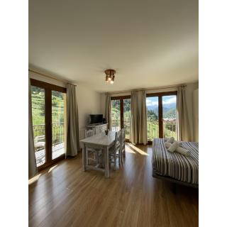 Aparthotel Sant Andreu - Accommodation in ARINSAL