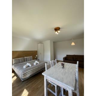 Aparthotel Sant Andreu - Accommodation in ARINSAL