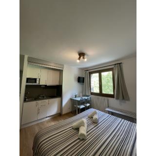 Aparthotel Sant Andreu - Accommodation in ARINSAL