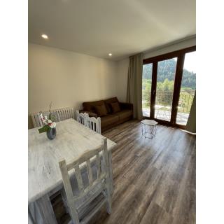 Aparthotel Sant Andreu - Accommodation in ARINSAL