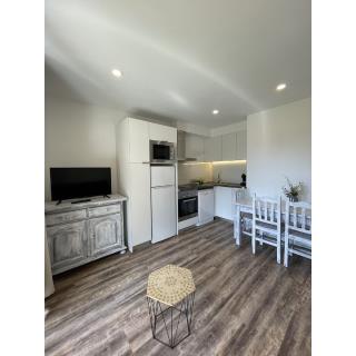 Aparthotel Sant Andreu - Accommodation in ARINSAL