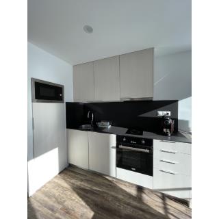 Aparthotel Sant Andreu - Accommodation in ARINSAL