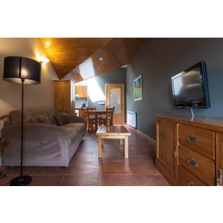 Apartamentos Sant Moritz - Accommodation in ARINSAL