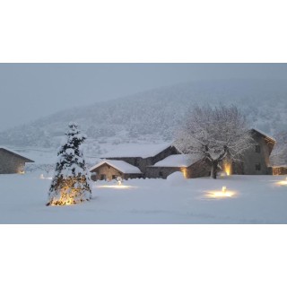 Les Pardines 1819 Mountain suites & SPA - Accommodation in ENCAMP
