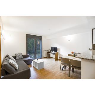 Apartamentos Font del Ferro - Hébergement en EL TARTER