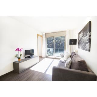 Apartamentos Ransol Mountain Suites - Hébergement en EL TARTER