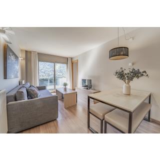 Apartamentos Ransol Mountain Suites - Hébergement en EL TARTER