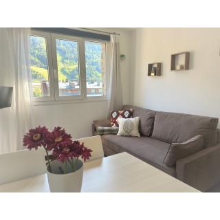 Apartamentos Terrasses del Tarter - Hébergement en EL TARTER