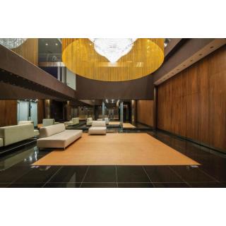 Starc Hotel - Hébergement en ANDORRA LA VELLA