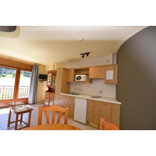 Apartamentos Pobladó - Accommodation in ARINSAL