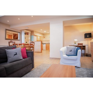 Apartamentos Tarter Mountain Loft - Hébergement en EL TARTER