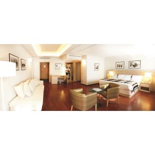 Suites Plaza Hotel & Wellness Andorra - Hébergement en ANDORRA LA VELLA