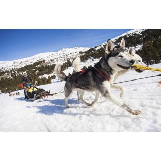 MÚIXING - Activitats en ANDORRA LA VELLA